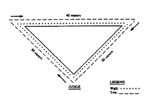 Walk trot diagram 1